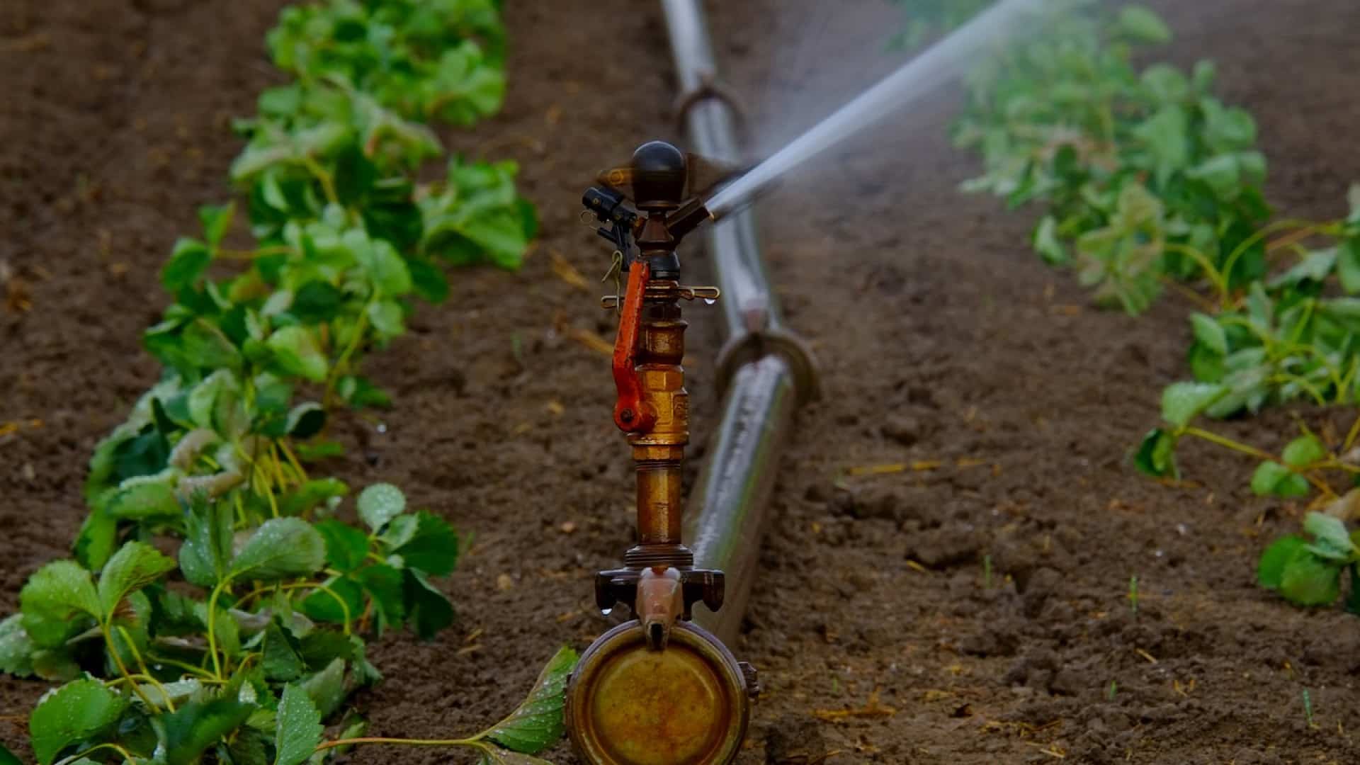 Comment choisir son système d'irrigation agricole - Citizens News