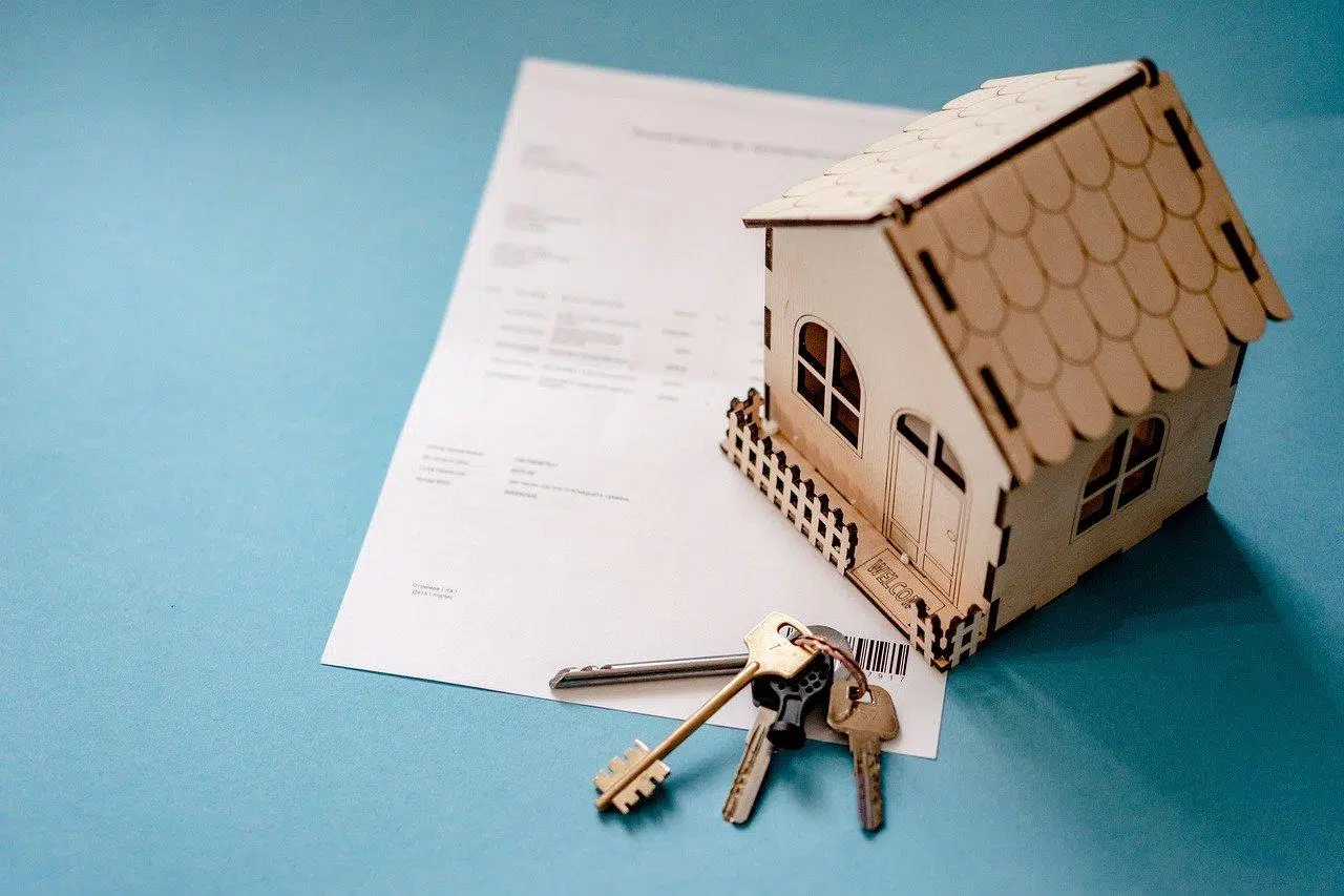 assurance habitation de 2019