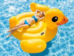 Bouee Piscine Adulte Donut Pvc Float Float Plage Parties De Natation Bouee Piscine Adulte Donut Pvc Float Float Plage Parties De Natation