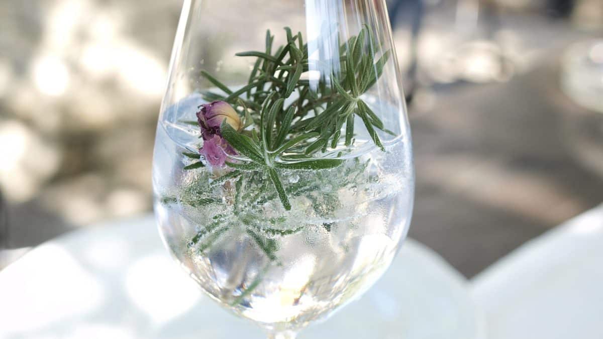 Comment déguster du Gin ?
